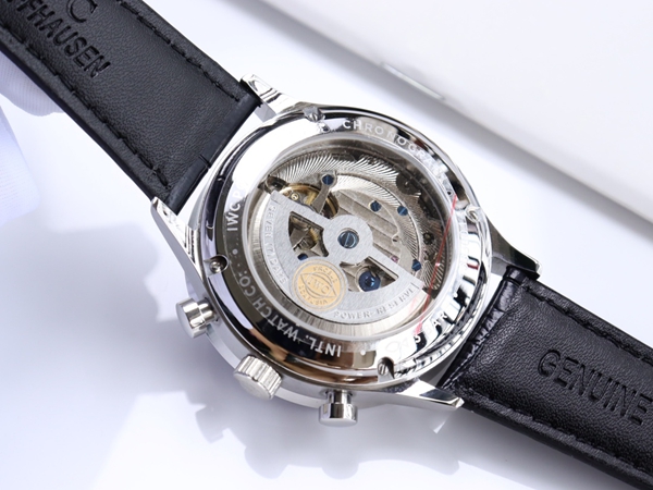 アイ・ダブリュー・シー着用イメージ